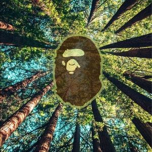 Meet your Posher, Noah